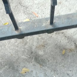 , , 71 