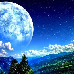 ����, �����-���������, 38 ���