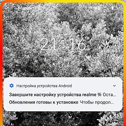 , , 41 