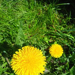 ���� �����, �����������, 51 ��� - ��������� 1 ���� 2023