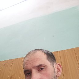 ����, ������, 39 ���