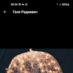 , , 43 