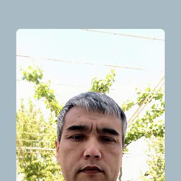 ���� �����, �����, 48 ��� - ��������� 6 ���� 2023