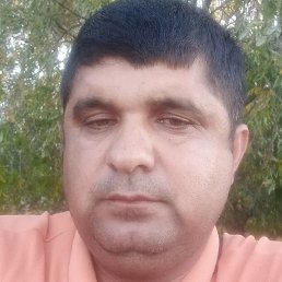 �����, ������, 44 ����