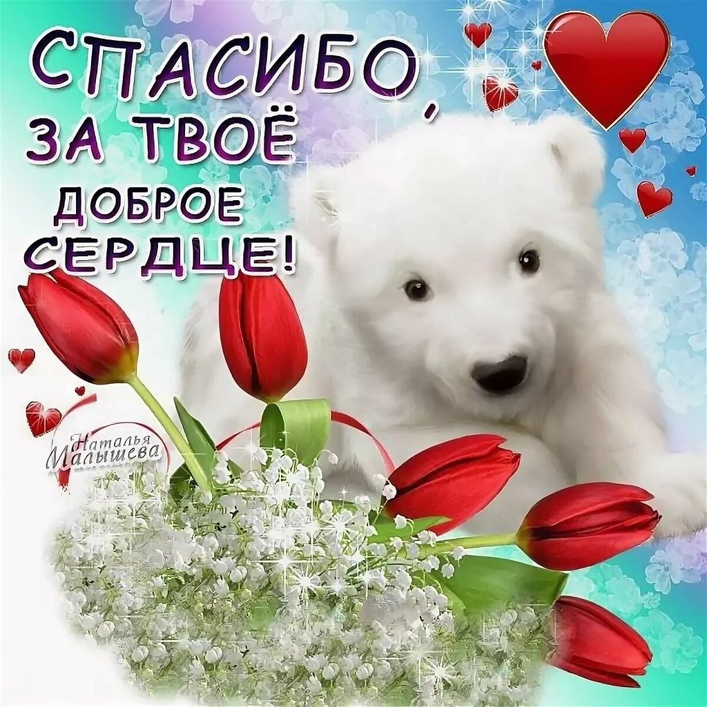   - 8  2023  20:51