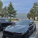 ���� �����, ������������, 35 ��� - ��������� 15 ���� 2023 � ������ ���� ����������