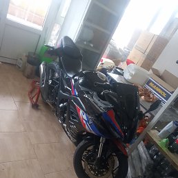���� ���, �����, 34 ���� - ��������� 2 ������� 2023