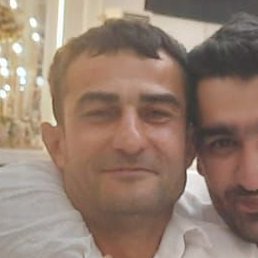 Fqan, , 37 