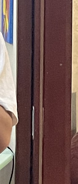 ������, �������, 24 ����