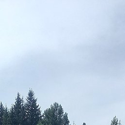 �����, ������, 55 ���