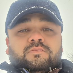 ��� ���, �������, 37 ���