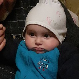 Vache, ������, 56 ���