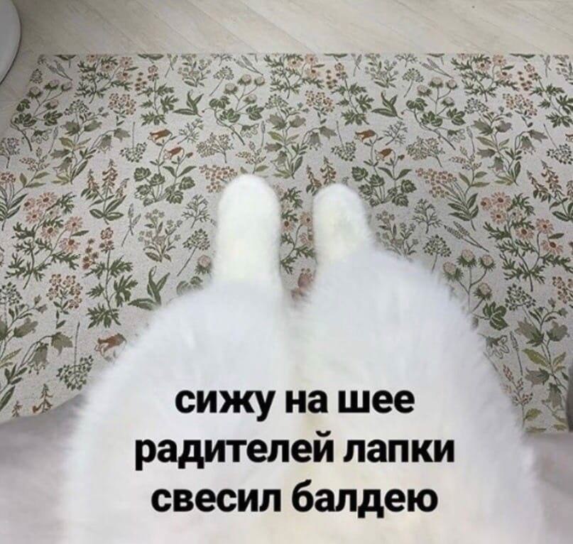    - 2  2023  14:40