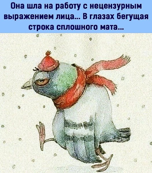 ***Victoria Viktorovna*** - 11  2023  06:33