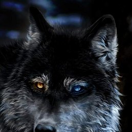 ���� �����, ���������������, 35 ��� - ��������� 9 �������� 2023