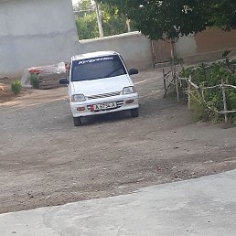 ������ �������, ������, 41 ���