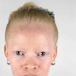 ��������, ������, 81 ���