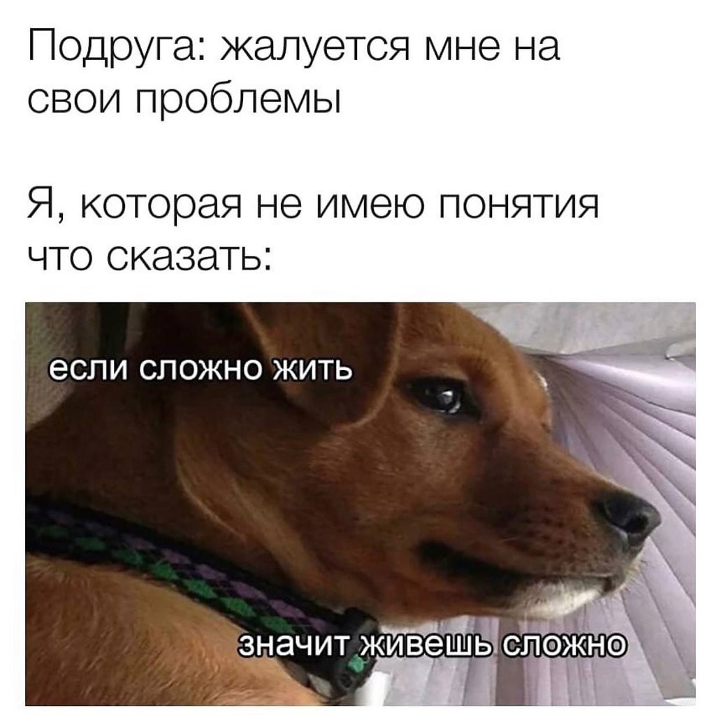    - 2  2023  21:16