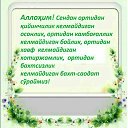 ���� ������, ������, 37 ��� - ��������� 20 �������� 2023 � ������ ���� ����������