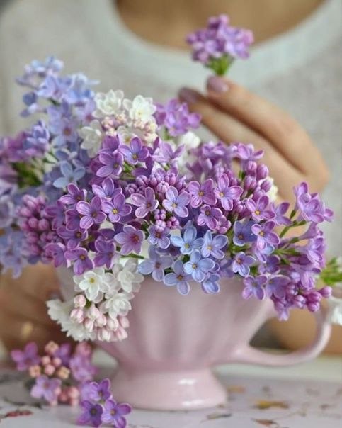   ,    - .   - ,    - .   - ,  ...