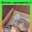  , -, 56  -  9  2023    