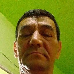 ������, �����, 40 ���