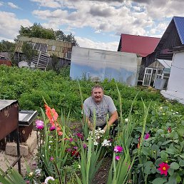 �����, ������������, 62 ����