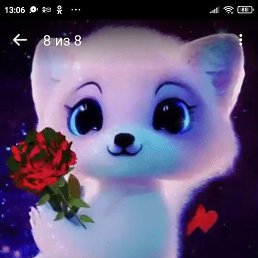 �����, ���������, 41 ���