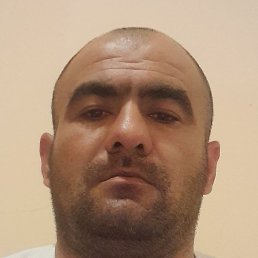 ����, ������, 40 ���