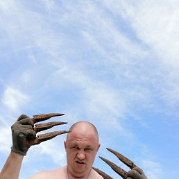 ������, ��������, 45 ���