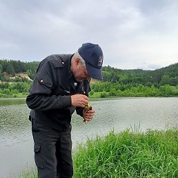 ������, ����������, 58 ���