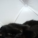 ���� ����, �����-���������, 21 ��� - ��������� 4 �������� 2023 � ������ ���� ����������