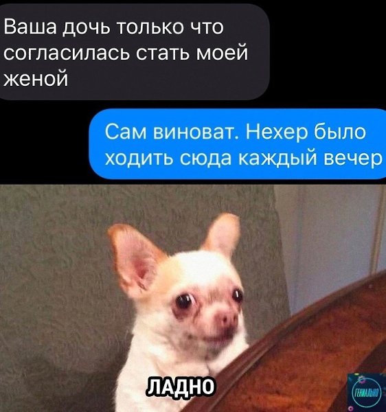 paeo. genius