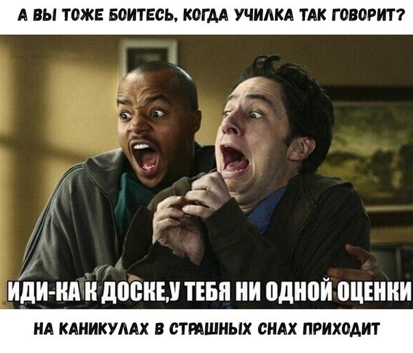 ? ,  ! - 31  2023  11:50