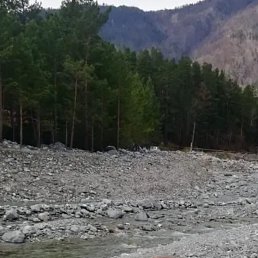 ���� ������, �������, 62 ���� - ��������� 7 ��� 2023