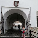 ���� Ara, ���������, 50 ��� - ��������� 7 ������ 2023