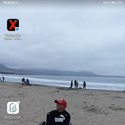 Froberto Xvdfeo,  , 37 