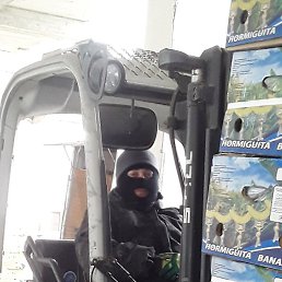 �������, ���������, 39 ���