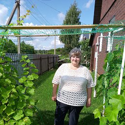 ���� �������, ������, 56 ��� - ��������� 11 ������� 2023