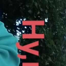 ��������, ������������, 65 ���