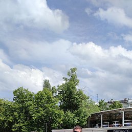 �����, ������, 41 ���