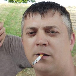 ���������, �����, 46 ���