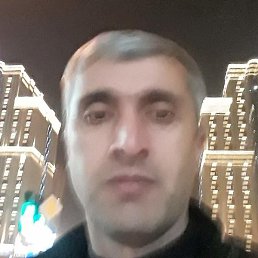 �����, �������, 48 ���