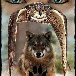 ���� ������, ��������, 36 ��� - ��������� 3 ������� 2023