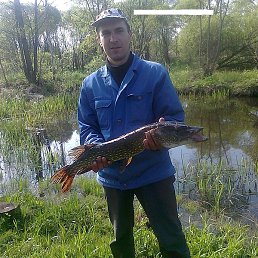 ��������, �������, 47 ���