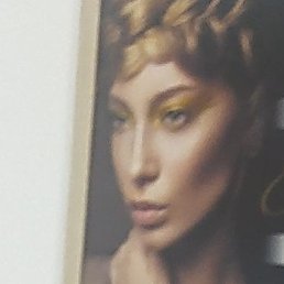 �������, ���������, 50 ���