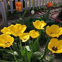 ���� ���������, ����� - ��������� 12 ���� 2023 � ������ ���� ����������