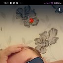 ���� ������, ������, 45 ��� - ��������� 2 ���� 2023