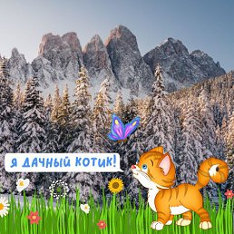 ���� ������, �����, 46 ��� - ��������� 25 ������� 2023