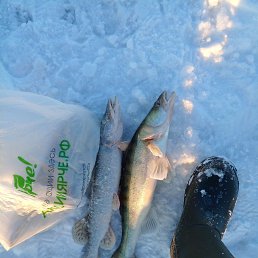 ���� ������, ������, 57 ��� - ��������� 24 �������� 2023